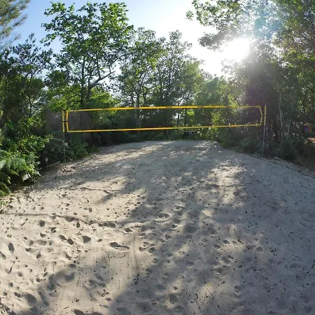 Grande Maison Pleine Nature 5 Pour 10 A 15 Pers - Surf Camp *