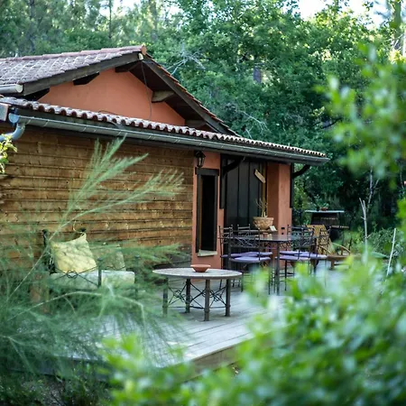 Grande Maison Pleine Nature 5 Pour 10 A 15 Pers - Surf Camp