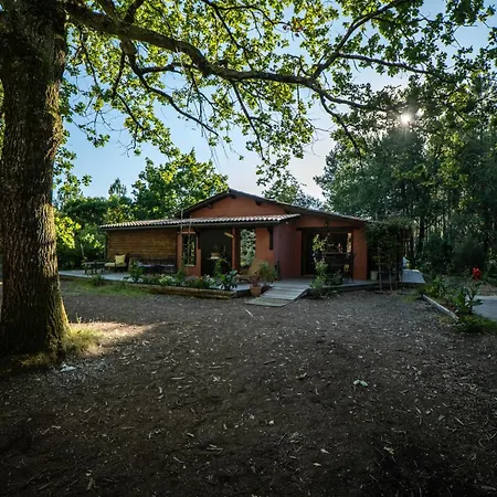 Grande Maison Pleine Nature 5 Pour 10 A 15 Pers - Surf Camp * Lacanau